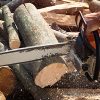 lumberjack-cutting-wood-with-chainsaw